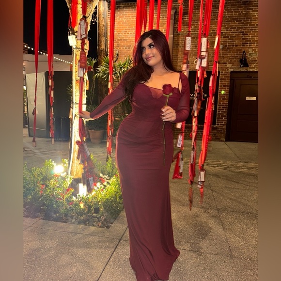 WINDSOR burgundy gown mesh long sleeve bralette corset maxi dress Large - Picture 1 of 5